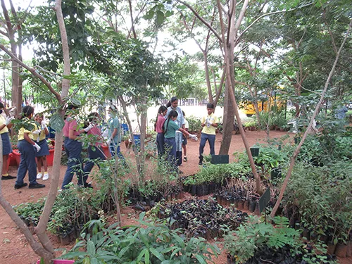 Campus View 12