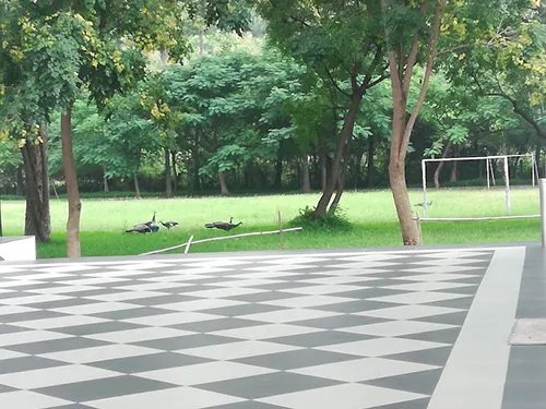 Campus View 2